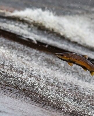 Czy przedłużacz pobiera prąd?