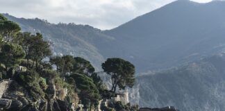 Ile kosztuje zamontowanie wywietrzników w oknach?