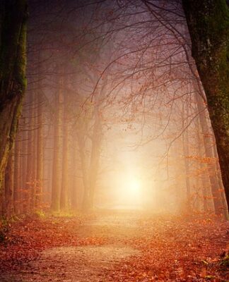 Jak podłączyć oświetlenie do akumulatora?