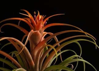 Jak założyć ostrze do kosiarki?