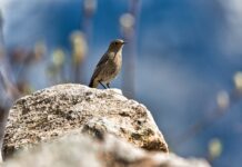 Jak zapobiegać pleśni na oknach?