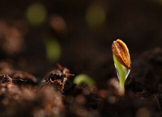 Czy po podkładzie trzeba szlifować?