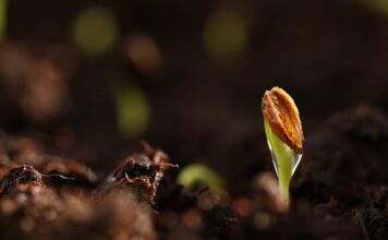 Czy po podkładzie trzeba szlifować? Czy po podkładzie trzeba szlifować?