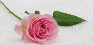 Po jakim grzechy nie można przystąpić do komunii?