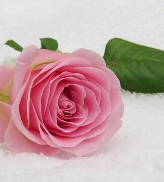 Po jakim grzechy nie można przystąpić do komunii?