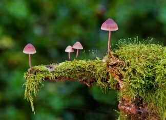 Jakie są rodzaje spawów?