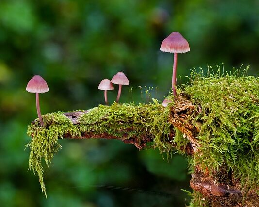 Jakie są rodzaje spawów?