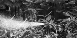 Jaki opryskiwacz Kosmetyka aut?