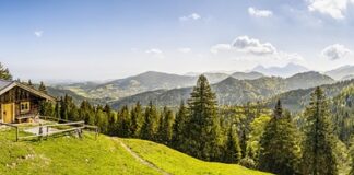 Jakie IP do kabiny prysznicowej?