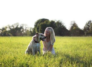 Jakie ledy najlepiej świeca?