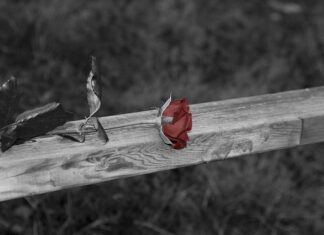 Czym zakryć balustradę na balkonie?