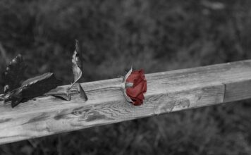 Czym zakryć balustradę na balkonie?