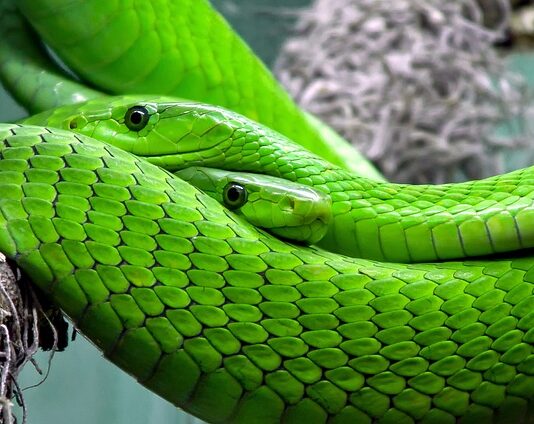 Jaką grubość węża do karchera?