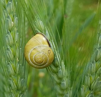 Czym uszczelnić rurę wchodzącą do komina?