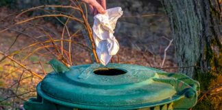 Ile kosztuje 1 tona węgla 2023?