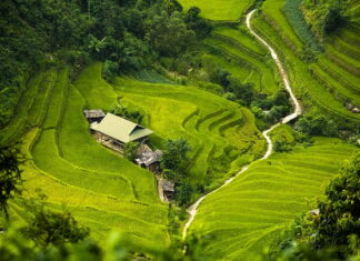 Jaka jest najlepsza izolacja rur?