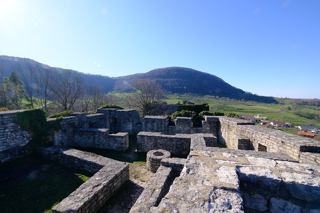Jak pobudzić kwiaty do wzrostu? Jak pobudzić kwiaty do wzrostu?
