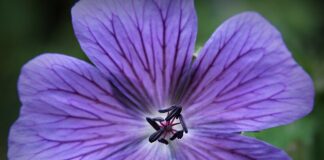 Co zamiast korkociągu?