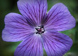 Co zamiast korkociągu? Co zamiast korkociągu?