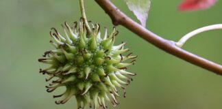 Co lepsze kompozyt czy granit?