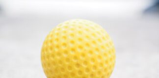 Ile kosztuje prowadnica do piły spalinowej?