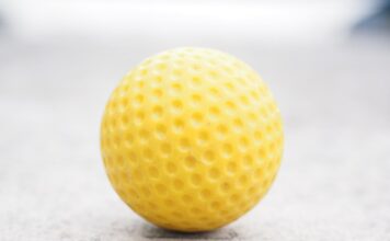 Ile kosztuje prowadnica do piły spalinowej?