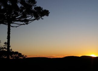 Jaki łańcuch do piły Stihl MS170? Jaki łańcuch do piły Stihl MS170?