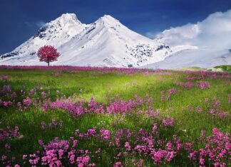 Co daje fioletowe światło? Co daje fioletowe światło?