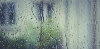 Czy moczyć korki do wina?