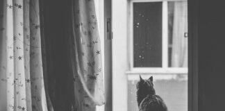 Co to jest kurtyna świetlna?