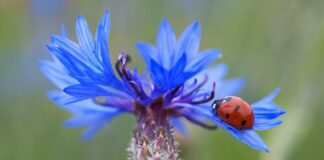 Ile punktów świetlnych na m2?