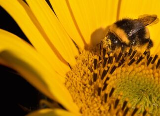 Jakiego koloru światło jest bardziej szkodliwe? Jakiego koloru światło jest bardziej szkodliwe?