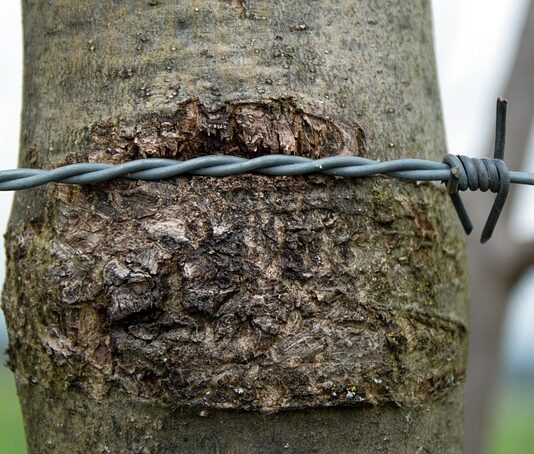 Jak naostrzyć łańcuch pełne dłuto?