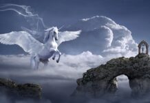 Czy można kupić samo skrzydło drzwi? Czy można kupić samo skrzydło drzwi?