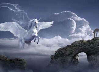 Czy można kupić samo skrzydło drzwi?