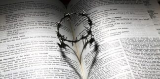 Jaki zapach na dobry sen?