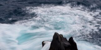 Czy ceny opału spadną?