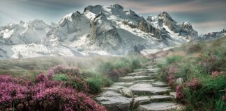 Jakiej firmy kamienie do ostrzenia noży?