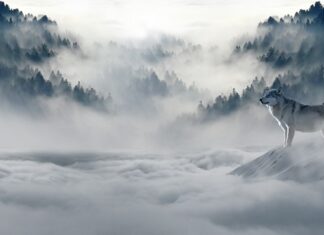 Co z opałem na zimę? Co z opałem na zimę?