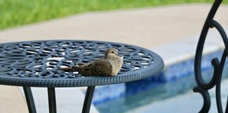 Jak zrobić otwór w basenie?