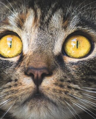 Jak obliczyć stężenie cieczy roboczej?