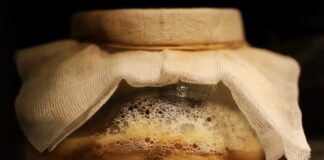 Dlaczego wychodzi grzyb przy oknie?