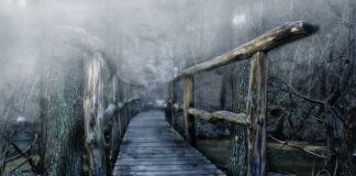 Do czego służy mostek Hue?