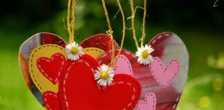 Jaki przewód do LED w podbitce?