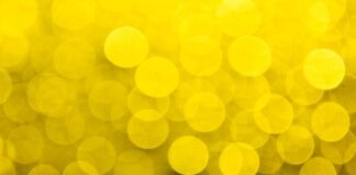 Co dać na spód doniczki?