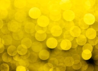 Co dać na spód doniczki? Co dać na spód doniczki?