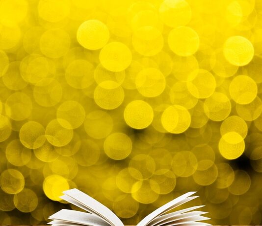 Co dać na spód doniczki? Co dać na spód doniczki?