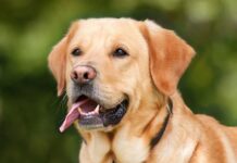 Z jakich miejsc nie należy pobierać krwi?