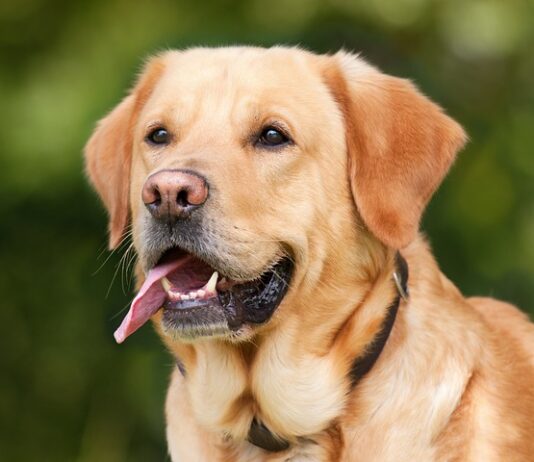 Z jakich miejsc nie należy pobierać krwi?