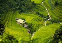 Jaka izolacja rur w ziemi?